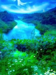 除虫大师